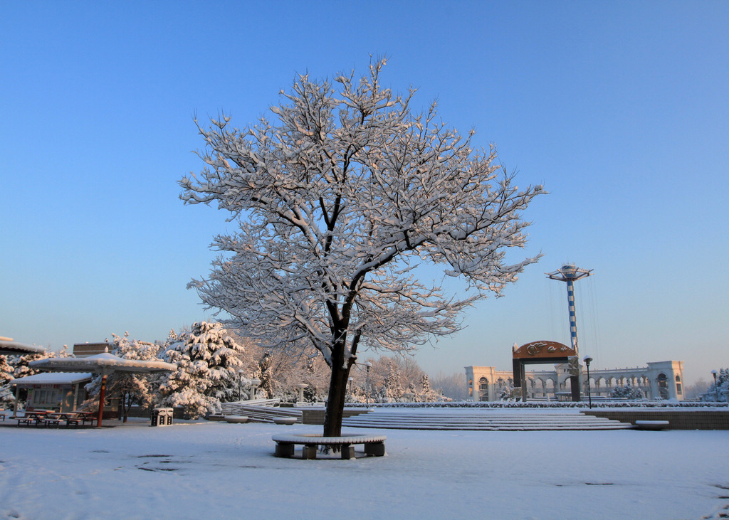 三月雪凇 摄影 天上来