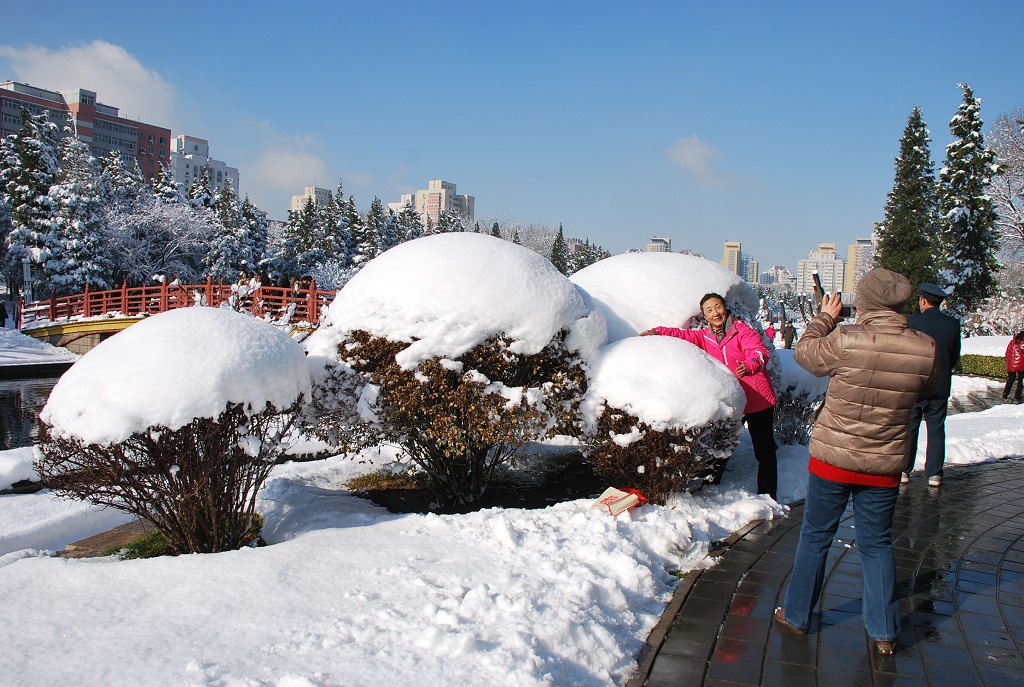 雪后 摄影 原原