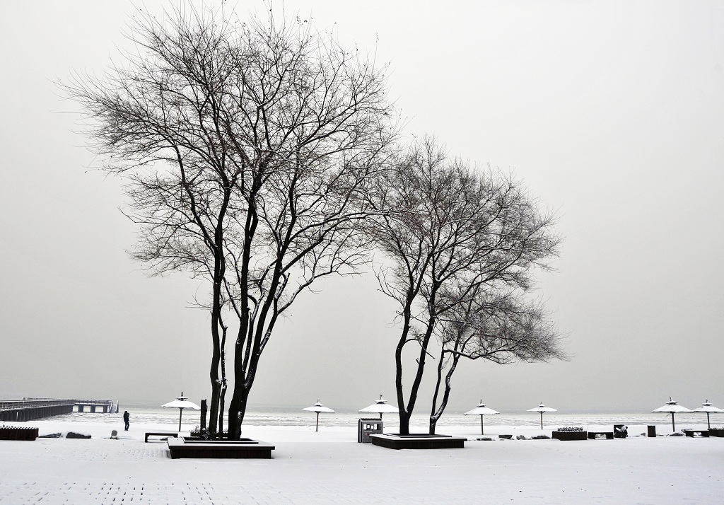 瑞雪浅水湾 摄影 baigui