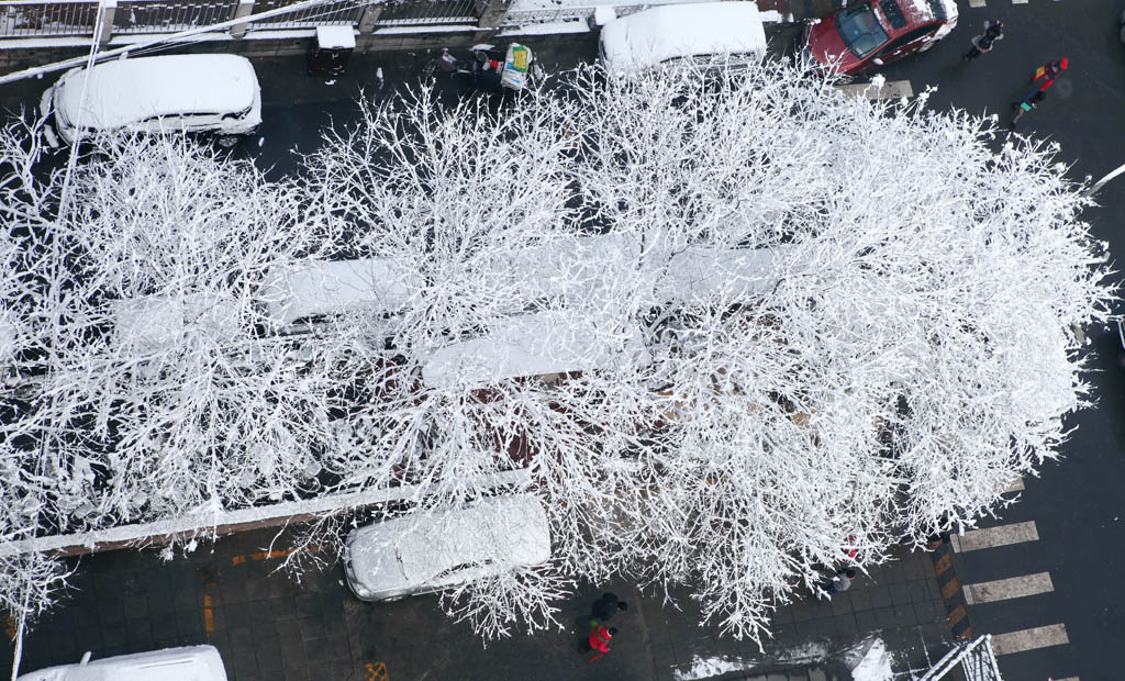 神奇雪色润京城 摄影 债权人