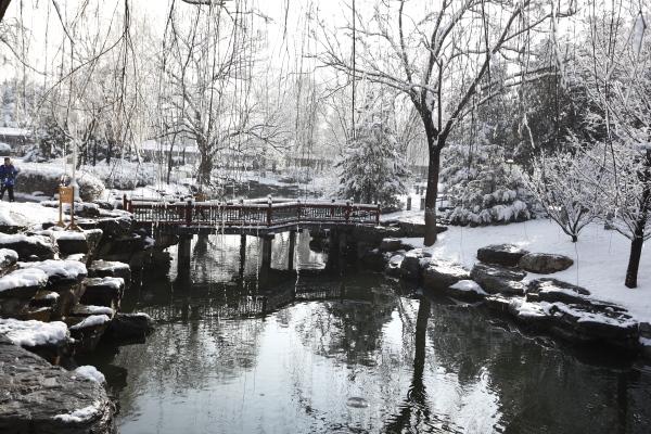 春雪1 摄影 真人