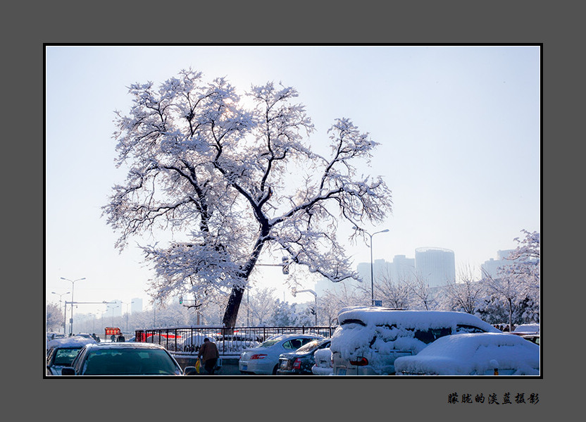 雪后~ 摄影 朦胧的淡蓝