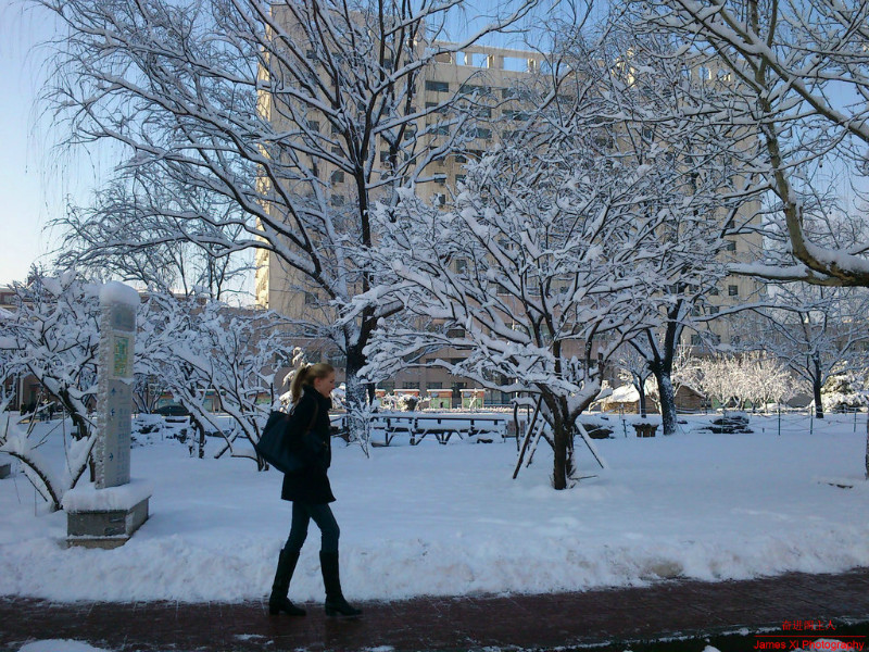 惠园偶遇法国摩登女郎，巧配瑞雪不失相得益彰。 摄影 奋进阁主人