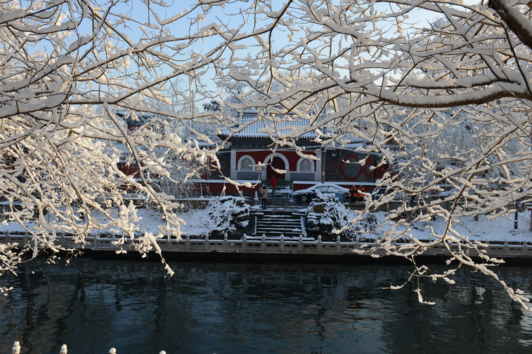 三月雪 摄影 快乐奔跑