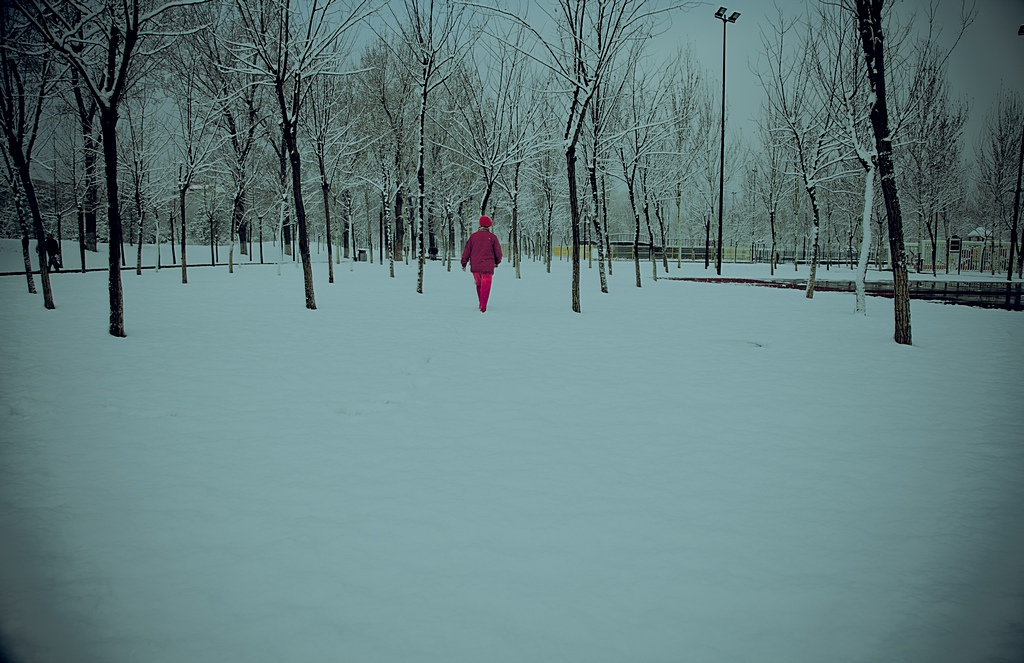 雪地 摄影 玉月