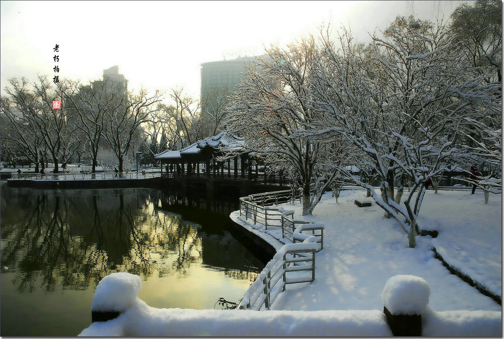 京城三月雪 摄影 北京老朽