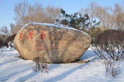 太阳岛 摄影 铁路大哥