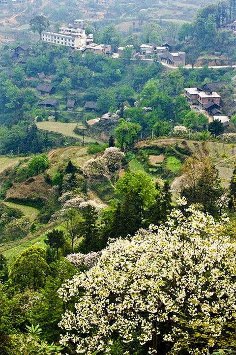 小山村 摄影 摄眼看花