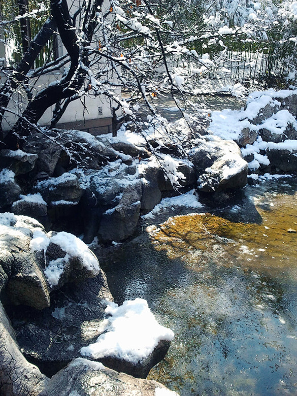 春雪 摄影 秦川76