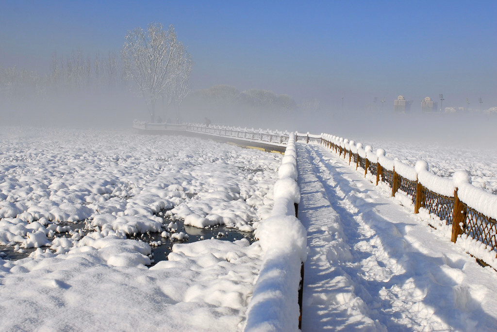 瑞雪美景 摄影 摄乐