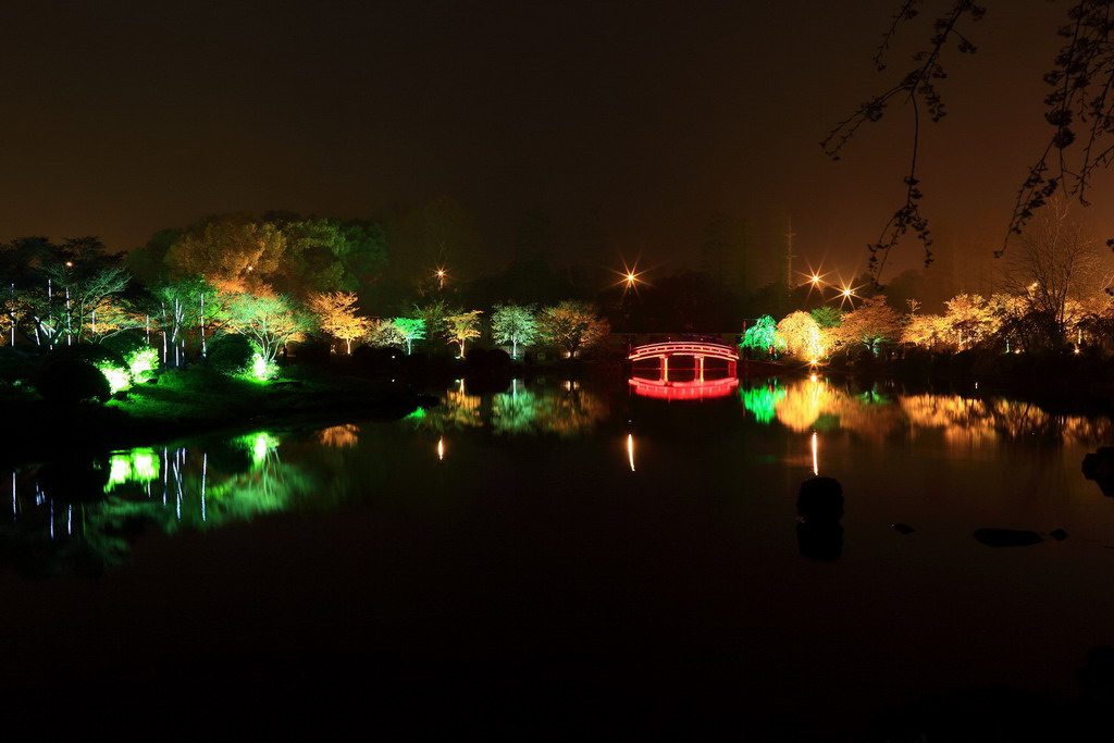 樱园夜景2 摄影 爱上佳能