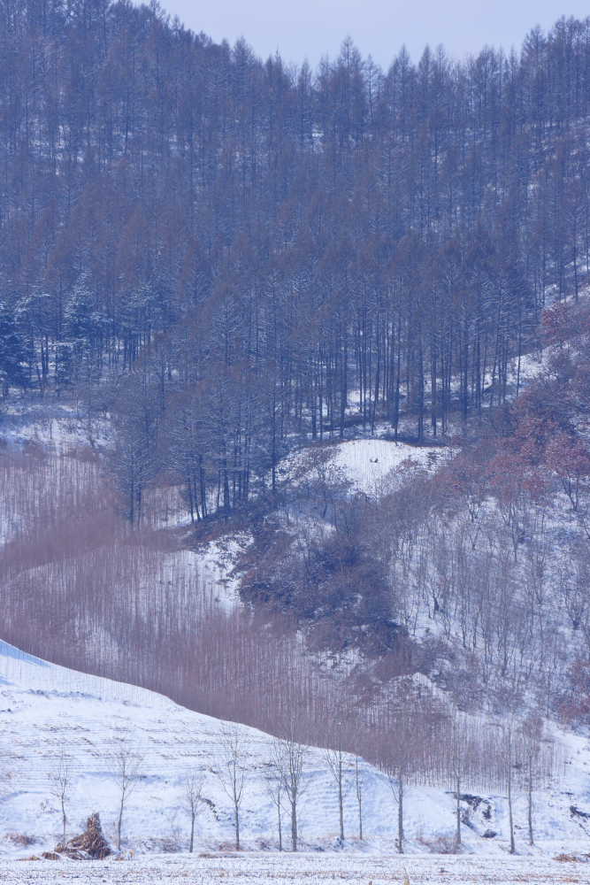 雪后山景 摄影 凤鸣康平