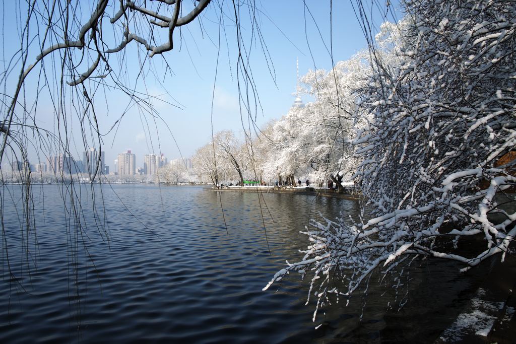 北京三月雪 摄影 老秋树