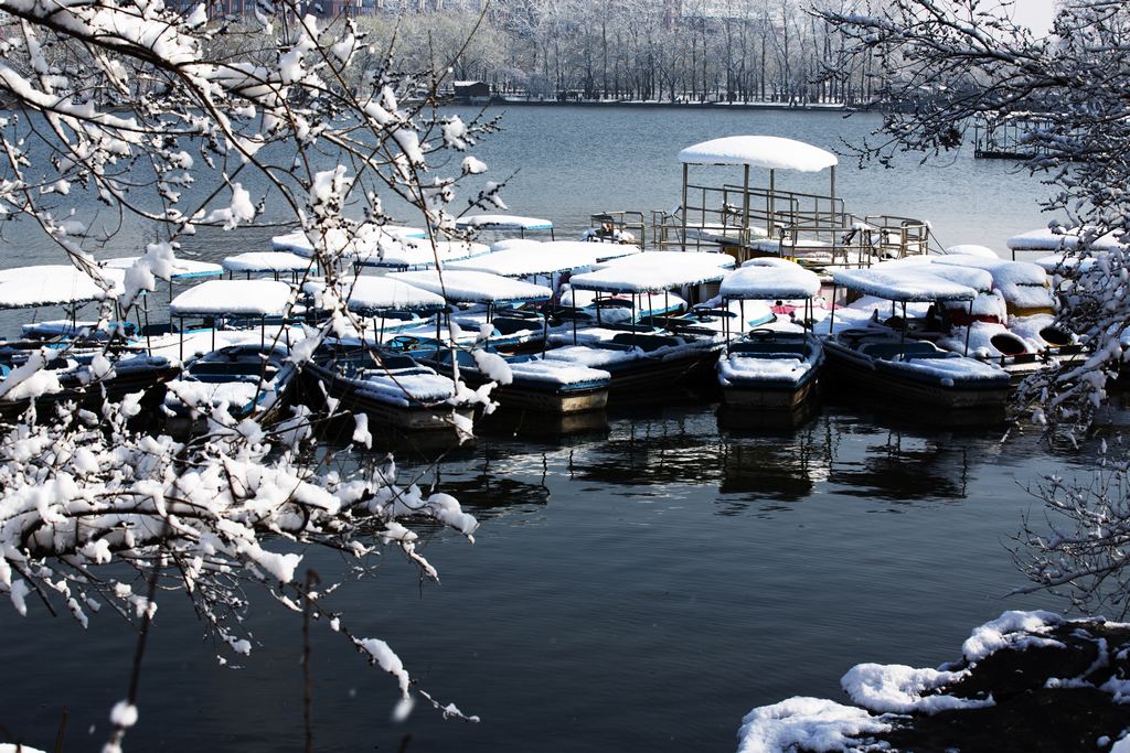 北京三月雪 摄影 老秋树