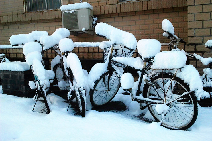 雪后 摄影 秦川76