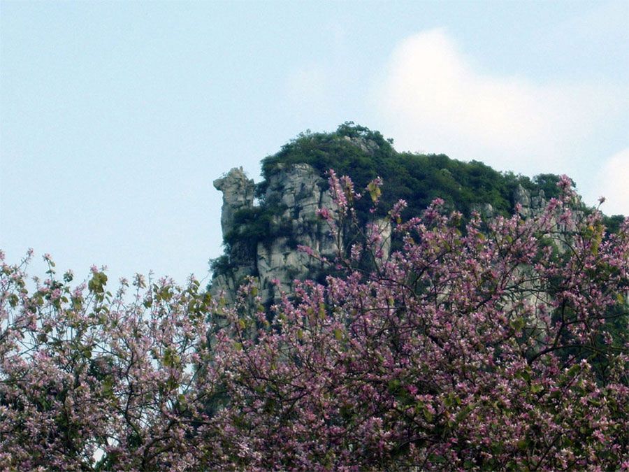 孔雀山 摄影 林龙89