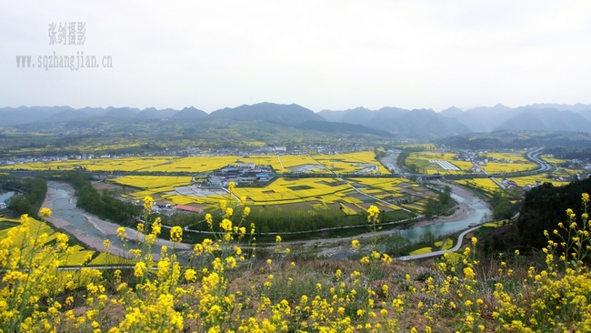 中国最美的油菜花汉中最佳拍摄点1 摄影 大道一人