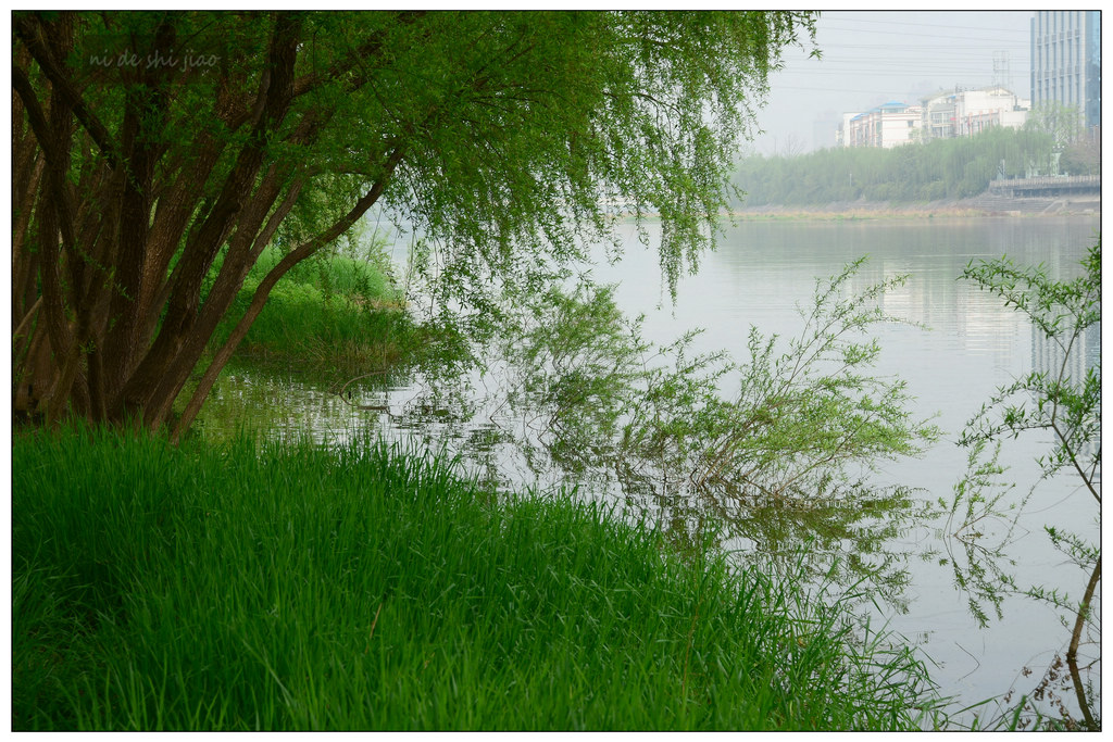 河边小景 摄影 你的视角