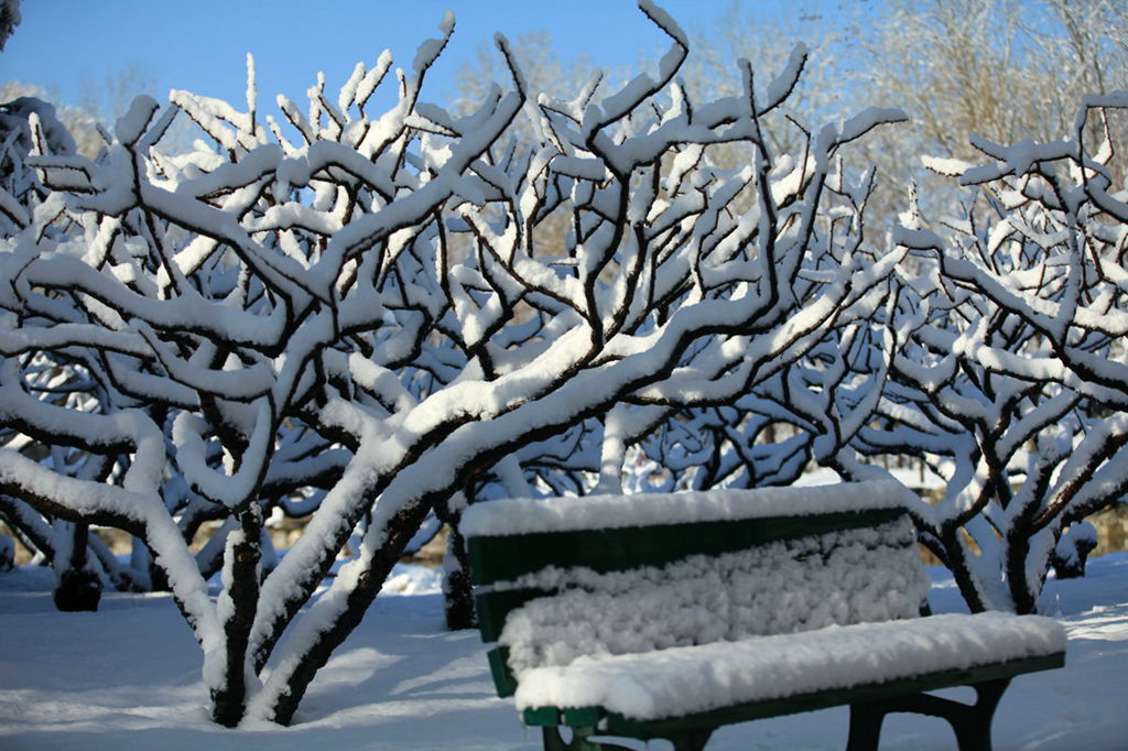 动与静的雪 摄影 随影随行