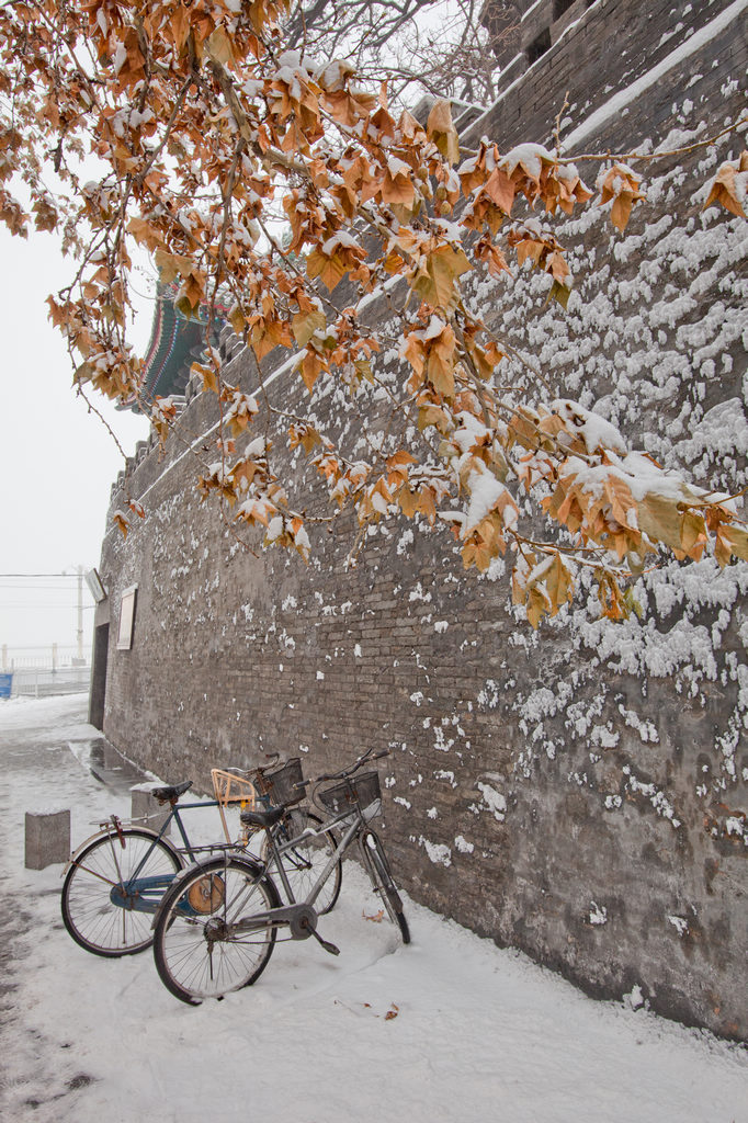 团城秋雪 摄影 楚天舒