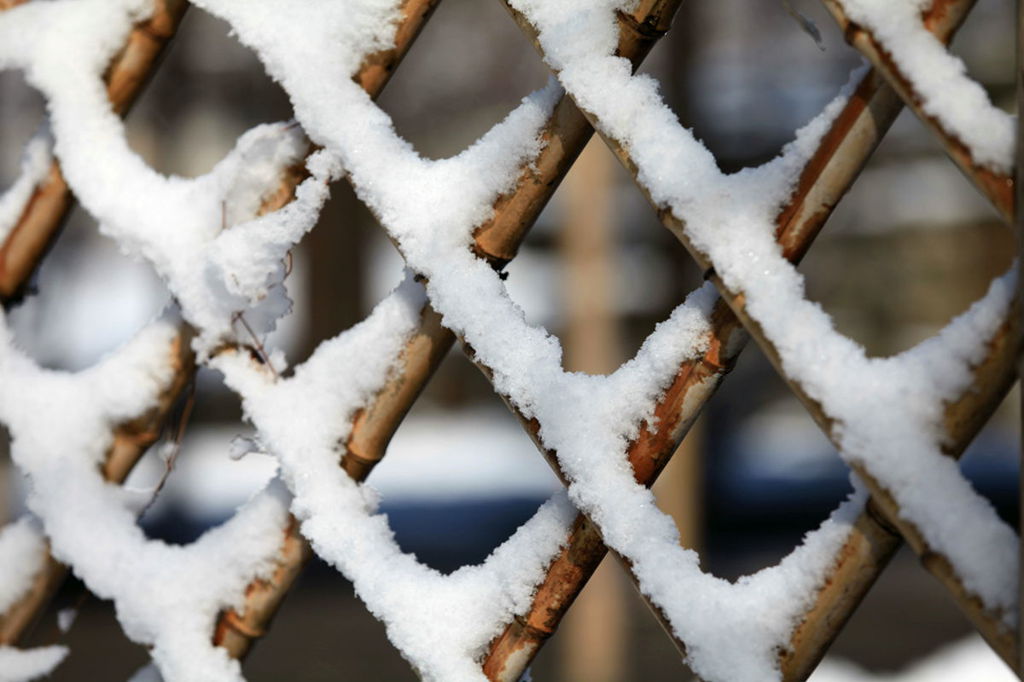 篱笆、雪 摄影 随影随行