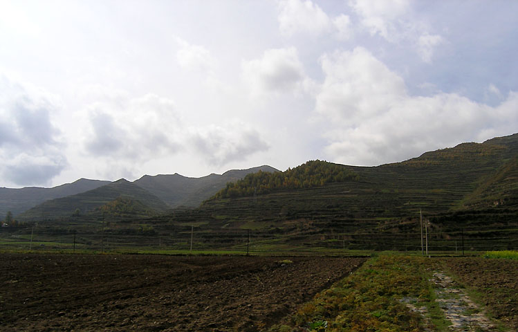 路上的风景 摄影 紫色女人