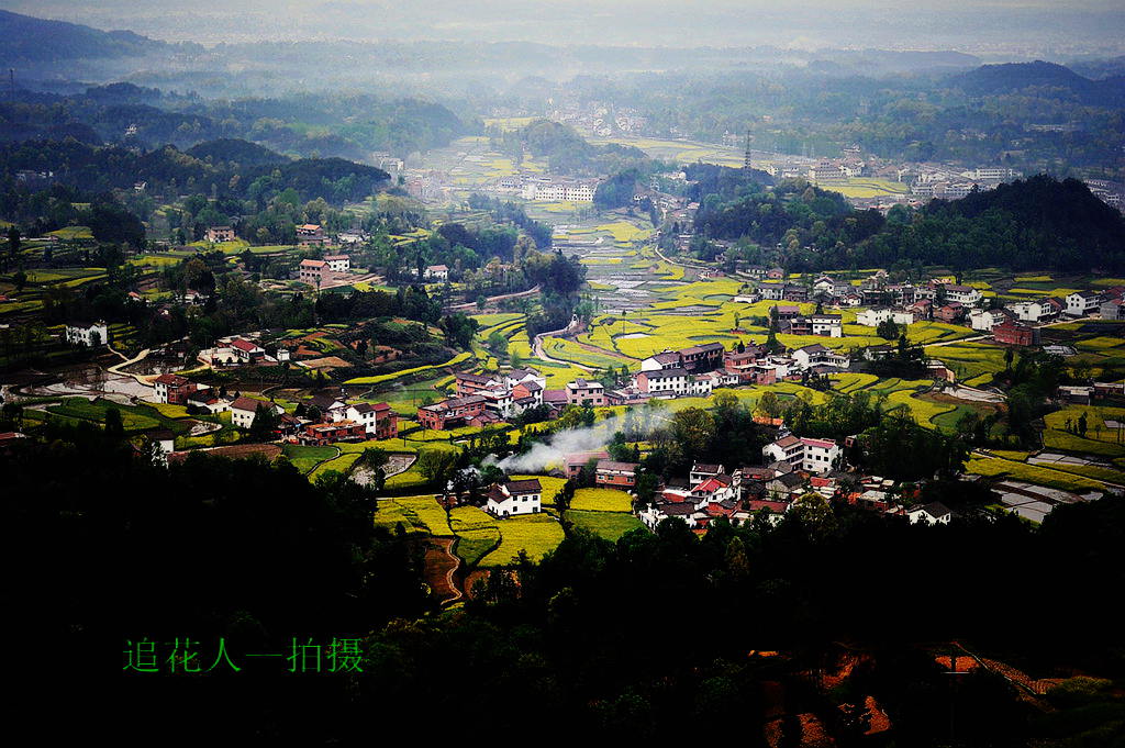 家园 摄影 追花人