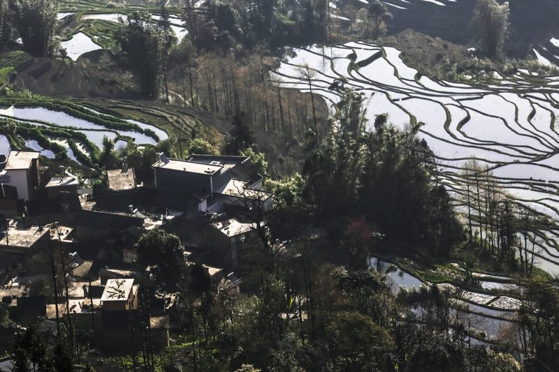 多依树小村 摄影 山野骏马