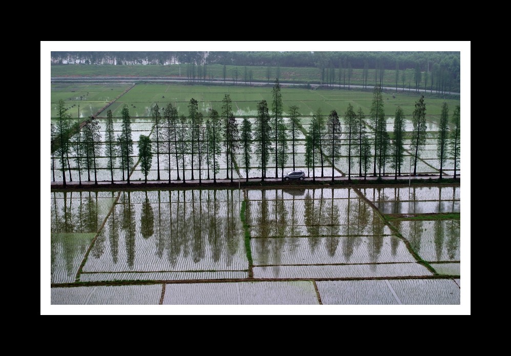 春回大地 摄影 竹海大观