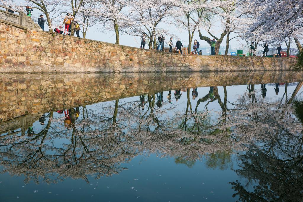 太湖春晓 2013（075） 摄影 满世界