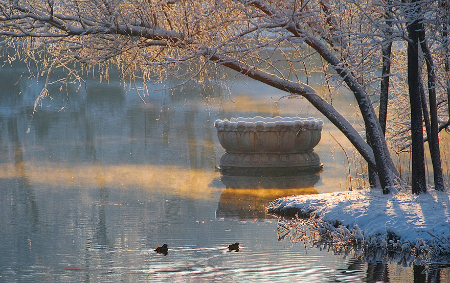 雪景晨光 摄影 门鼻儿