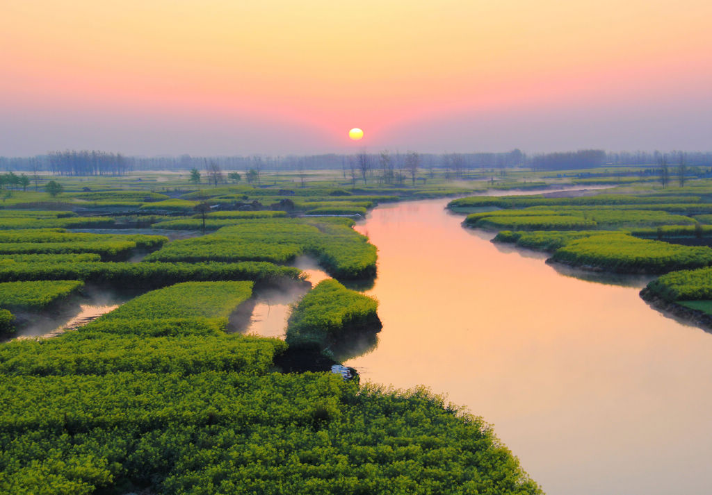 全国最美油菜花海--千岛菜花美景 摄影 薛宏金