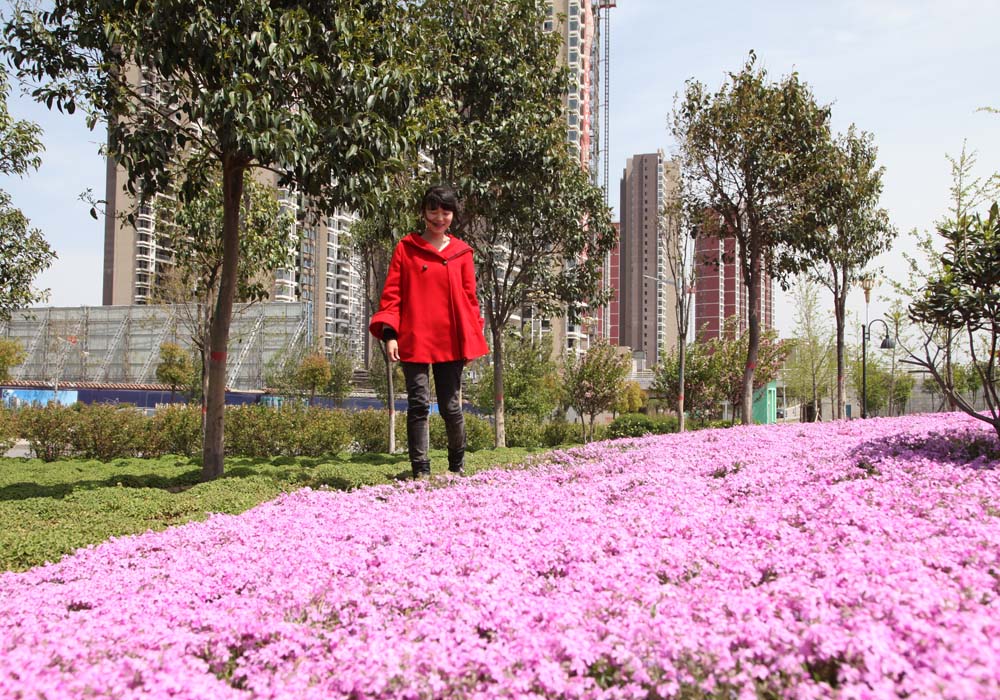 花季 摄影 郾城老李