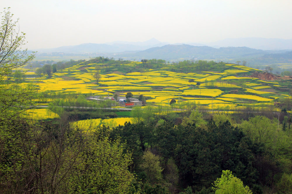 春天 摄影 龙池山水