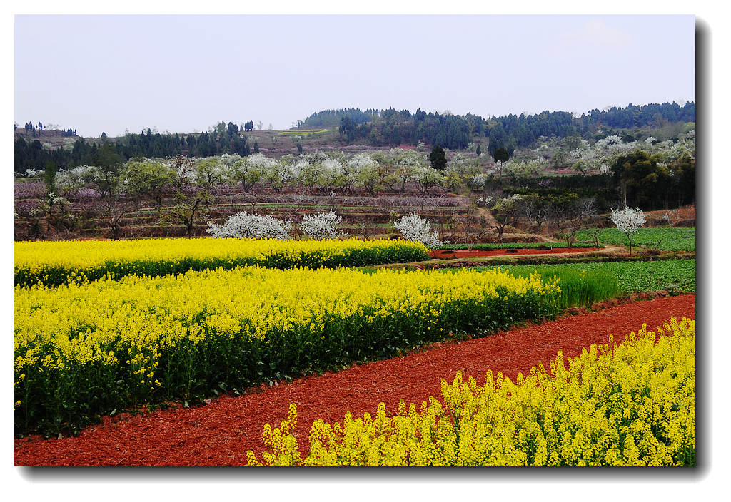 田园花园之调色板（1） 摄影 竹林後山人