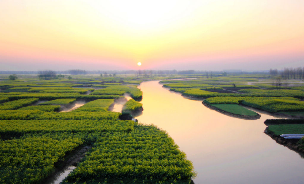 全国最美油菜花海--千岛菜花美景 摄影 薛宏金