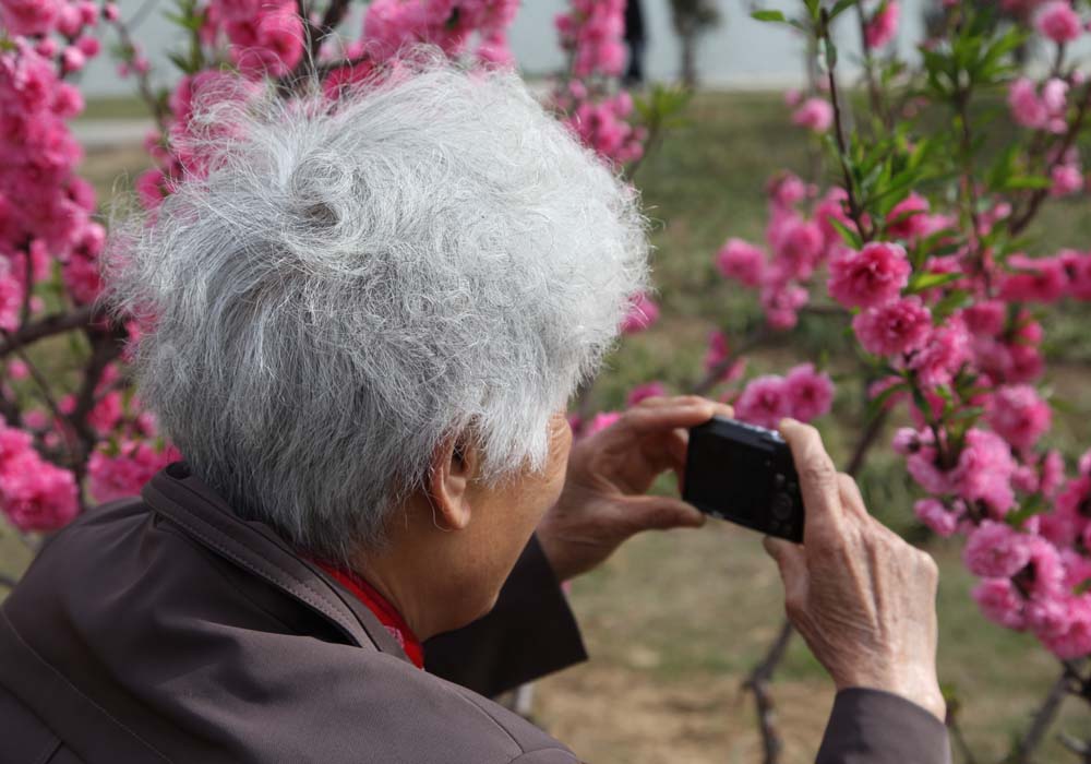 花季 摄影 郾城老李