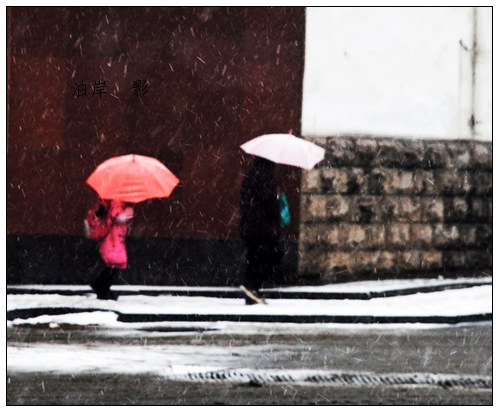 风雪路上 摄影 泊岸