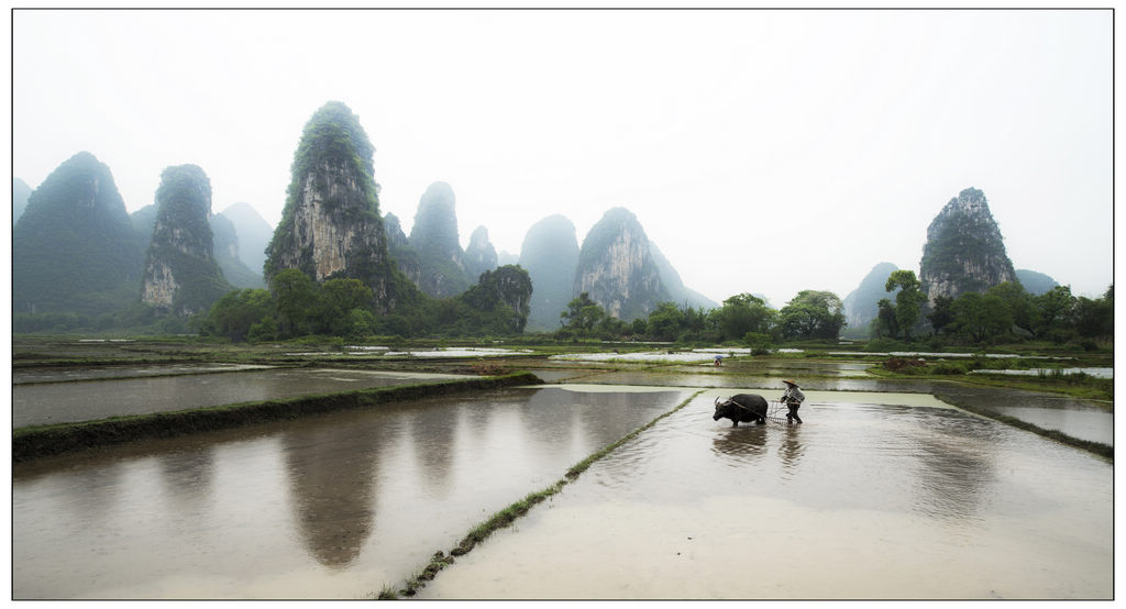 奇峰春雨 摄影 肥不腻