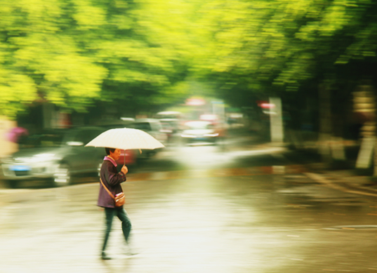 雨中行 摄影 伊畔耶夫