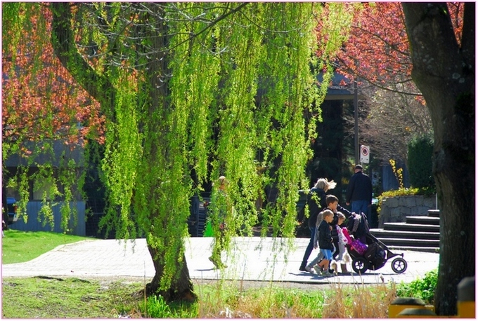 小路上的童车 摄影 大地之主B