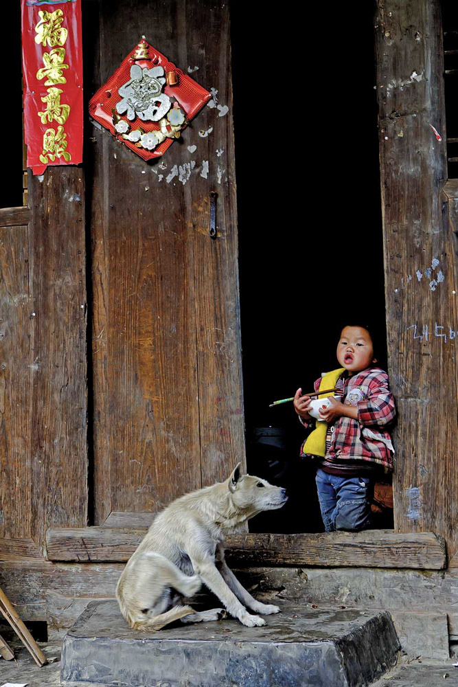 午餐 摄影 追光