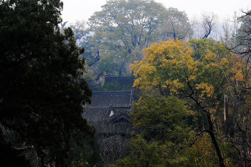 林隐禅寺 摄影 秋水孤鹜