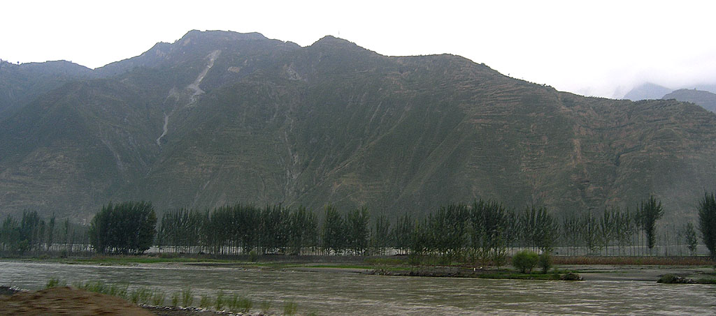 路上的风景 摄影 紫色女人