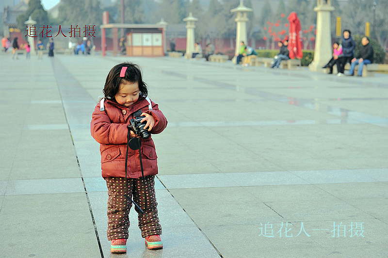 "摄影人" 摄影 追花人