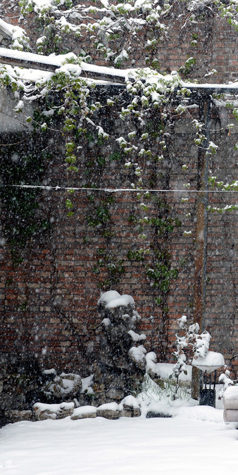 春雪贵如油 摄影 国际浪人