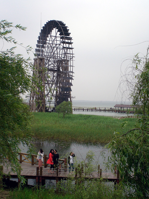 留下春游印象(太湖湿地) 摄影 白色风帆