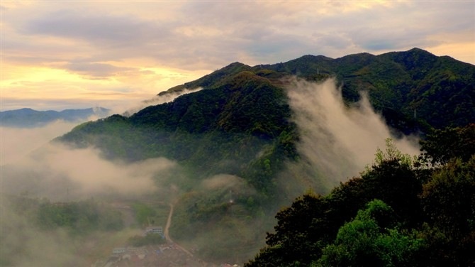 气韵生动 摄影 飘逸2012