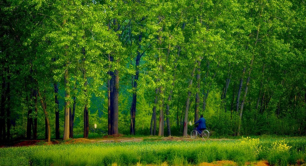 家门口的风景 摄影 老土狼