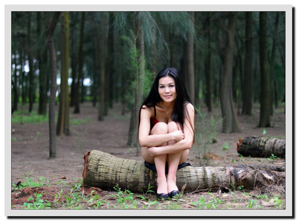 树林中的女孩 摄影 少小离川